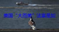 美国“大而美”法案是如何弄巧成拙的？且听英国气候专家一一道来